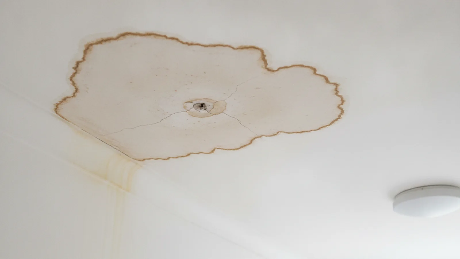 Mancha de humidade no teto de uma zona comum, com a tinta a começar a levantar.